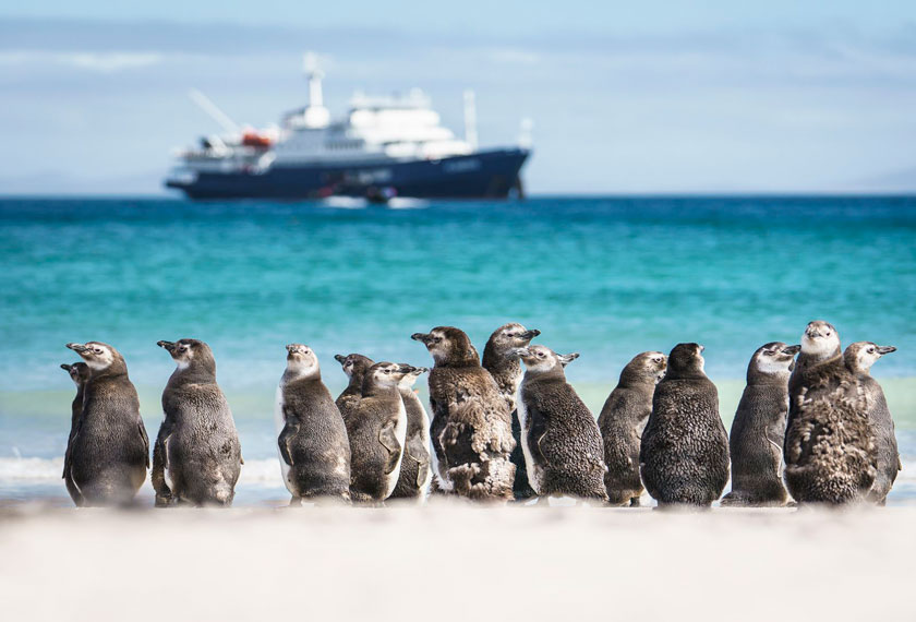 Antártida e Islas Subantárticas en el M/V Plancius (USH)