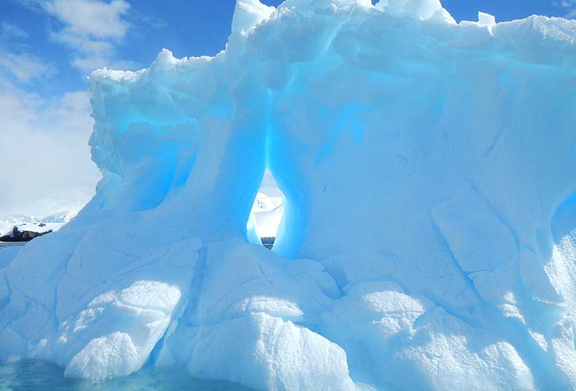 Odisea Antártica Islas Georgia del Sur y Elefante en el M/V Greg Mortimer