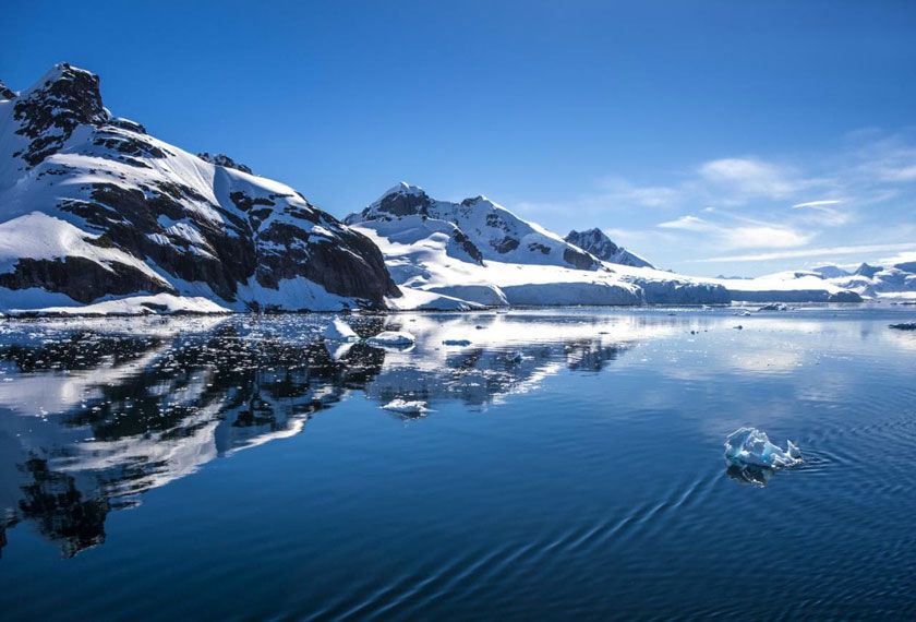 Odisea Antártica e Isla Georgia del Sur en el M/V Greg Mortimer
